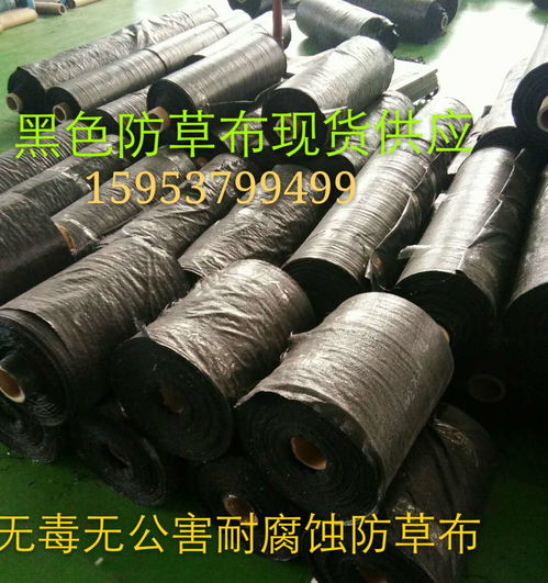 防草布 高效阻断病虫害滋生的新式除草利器